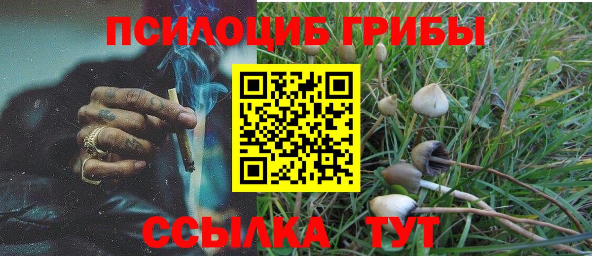 Новошахтинск  Галлюциногенные грибы GOLDEN TEACHER  Вход с VPN  Галлюциногенные грибы прущие грибы 